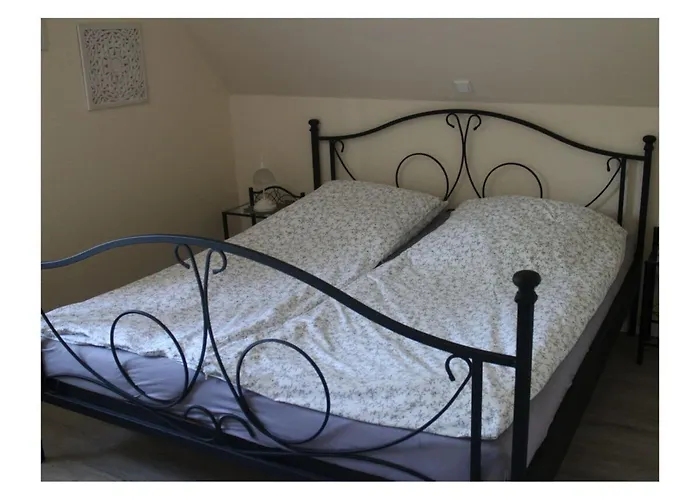 Vakantiehuis Scheel Comfortable *